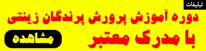 دوره پرورش پرندگان زینتی با مدرک