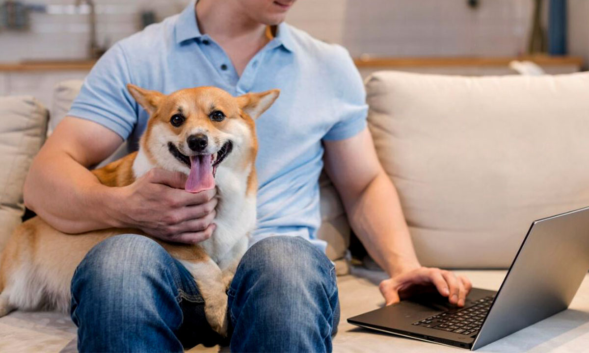 مشاوره دامپزشکی آنلاین سگ