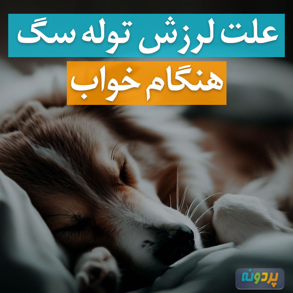 علت لرزش توله سگ هنگام خواب