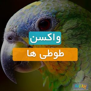 واکسیناسیون طوطی