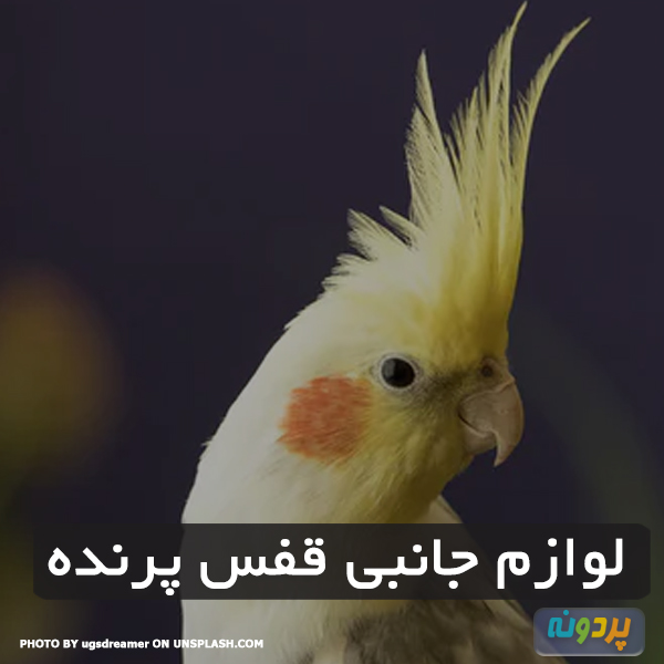 لوازم جانبی قفس پرنده
