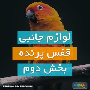 لوازم جانبی قفس پرنده