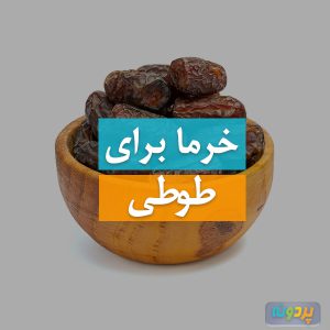 Dates-for-parrots