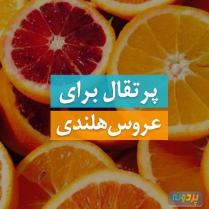 Orange-for-Cockatiel