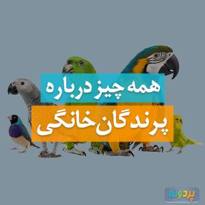 Poultry-pardone-ir