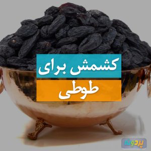 Raisins-for-Cockatiel