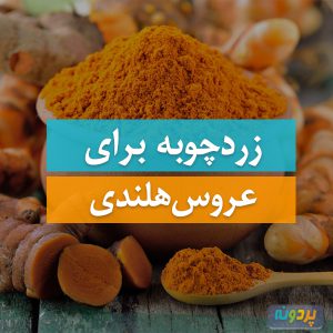 Turmeric for Cockatiel