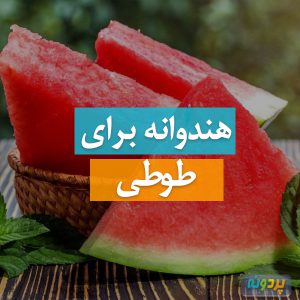Watermelon-for-parrots