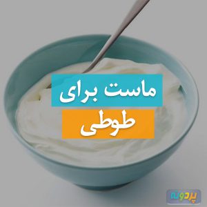 Yogurt-for-parrots