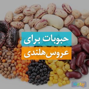 beans-for-Cockatiel