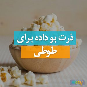 pop-corn-for-Cockatiel