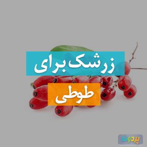 زرشک برای طوطی