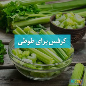 کرفس برای طوطی