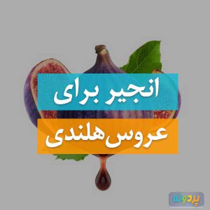 انجیر برای عروس هلندی