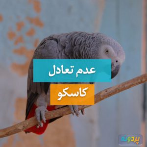عدم تعادل کاسکو
