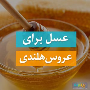 عسل برای عروس هلندی
