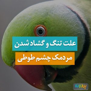 علت تنگ و گشاد شدن مردمک چشم طوطی