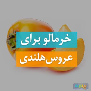 خرما برای عروس هلندی