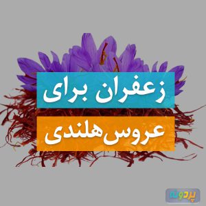 زعفران برای عروس هلندی