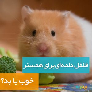 Is-bell-pepper-good-or-bad-for-hamsters-pardone-ir