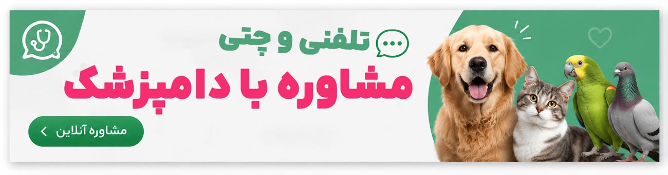 مشاوره با دامپزشک
